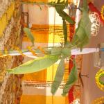 Vraj-Yatra-2014- (2898)